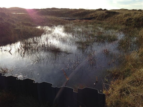 Pools created by piling dams for Spgagnum cuspidatum