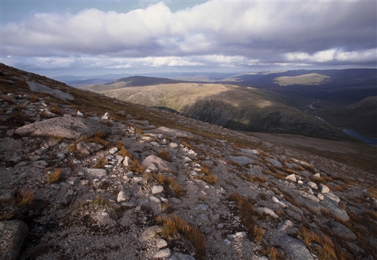 The Cairngorms. Image by Andy Hay (rspb-images.com)