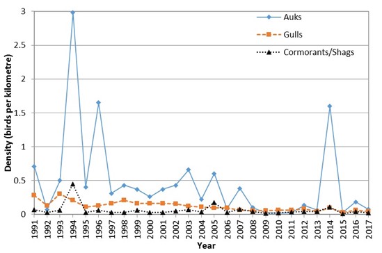 Trends in overall density of dead auks, gulls and cormorants/shags recorded between 1991 and 2017