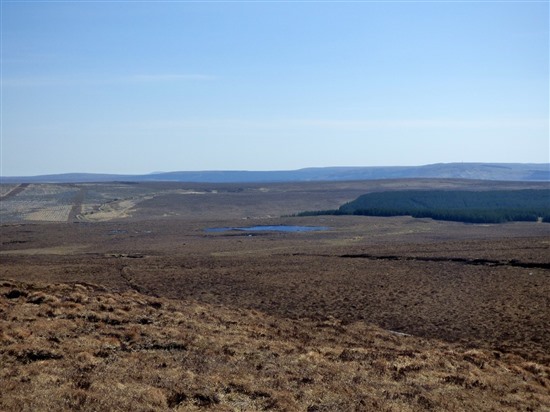  View from the survey. Looking across at Forsinard (Simon Wotton)