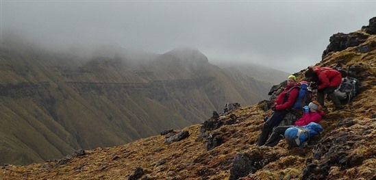 The RSPB team on a ridge, scanning the valley below for surviving albatross chicks (S.Oppel)