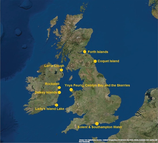 Roseate tern Life Project sites.