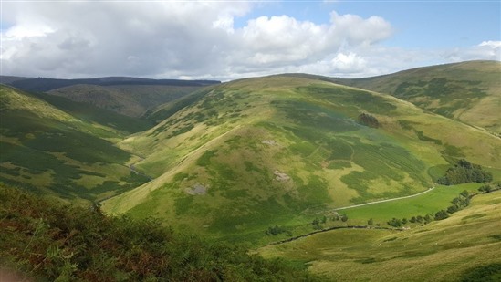 The Cheviots. Image by Andrew Stanbury (rspb.org.uk)