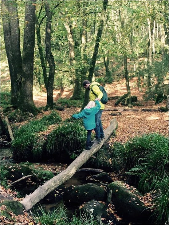 Child and parent exploring woodland. Image by Rebecca Hughes
