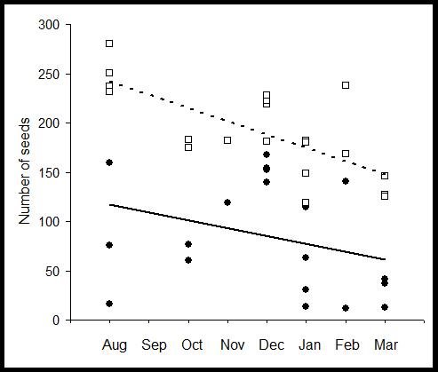 Figure showing the seasonal decline in the number of seeds available in Sitka spruce cones and numbers consumed in these cones by common crossbills.