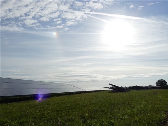 Solar farm. Image by Rob Shotton.