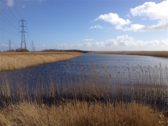 Newport Wetlands