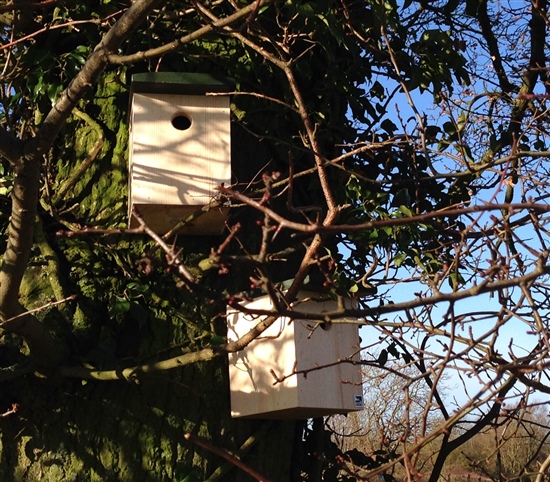 Nest boxes