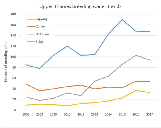 Upper Thames breeding wader trends graph