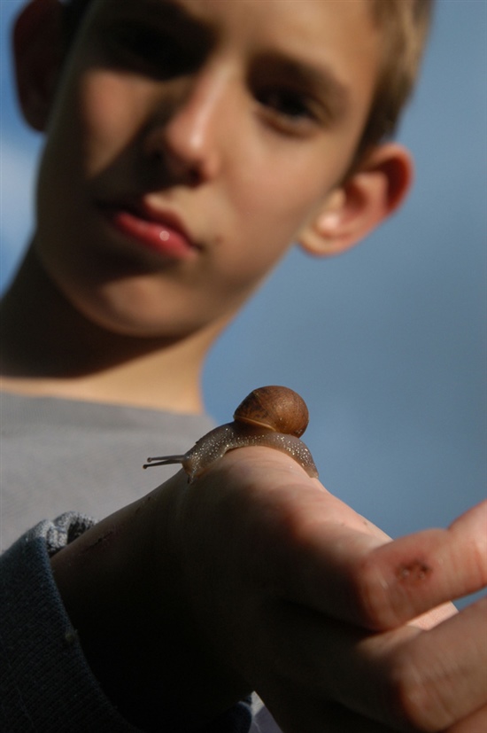 Boy with snail. Image by Carolyn Merrett (www.rspb-images.com)