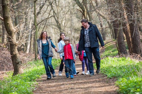 a family walking through woodland