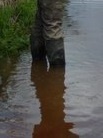 Wellies