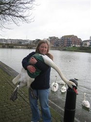 Angelica and the Abbotsbury Swan