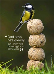 Great Tit and Fat Balls