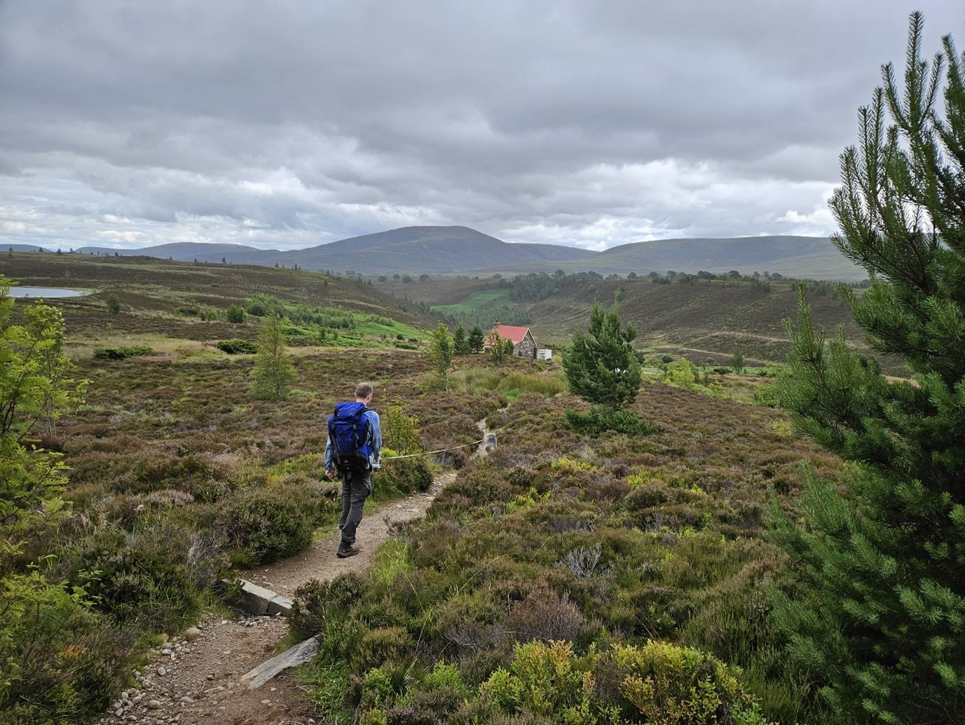 RSPB Scotland's Ben Oliver Jones is walking his dog along a trail surrounded by heather, conifer trees and other plants. They are heading towards a red-roofed building and there are hills in the distance.