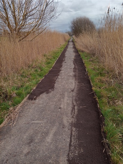 Picture of path with basalt added.