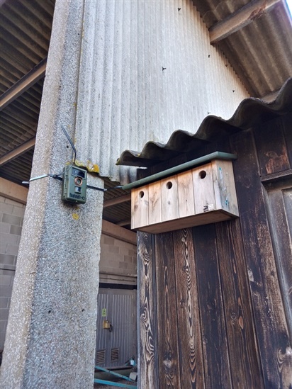 Picture of camera trap and nestbox