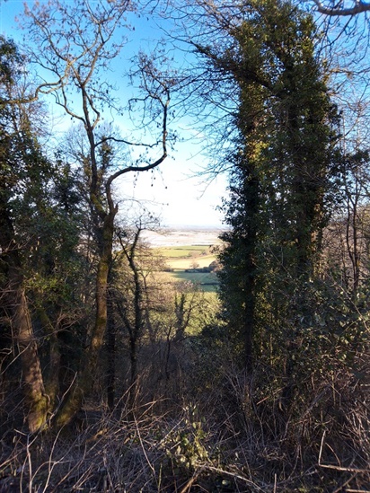 Picture of sightline from Scarp Trail