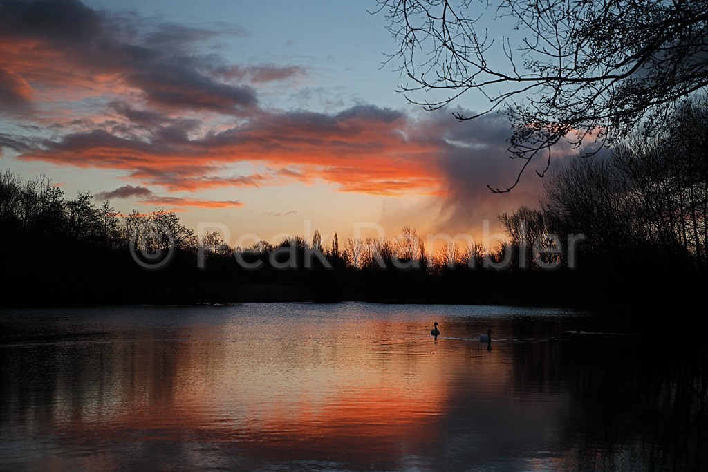 Brandon marsh nature reserve hi-res stock photography and images