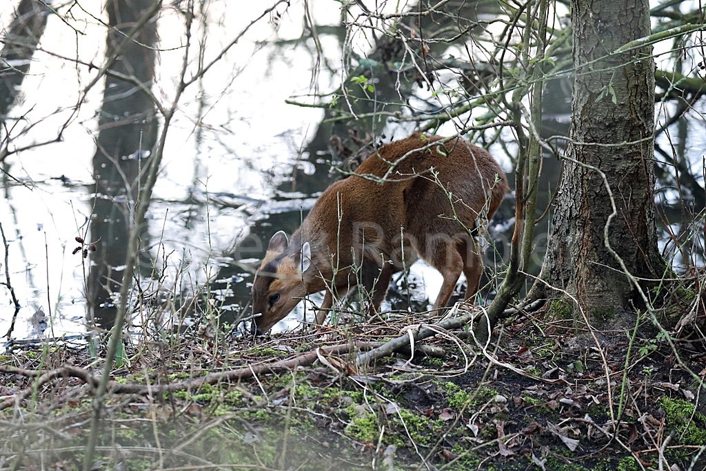 Brandon Marsh  The only way is wildlife