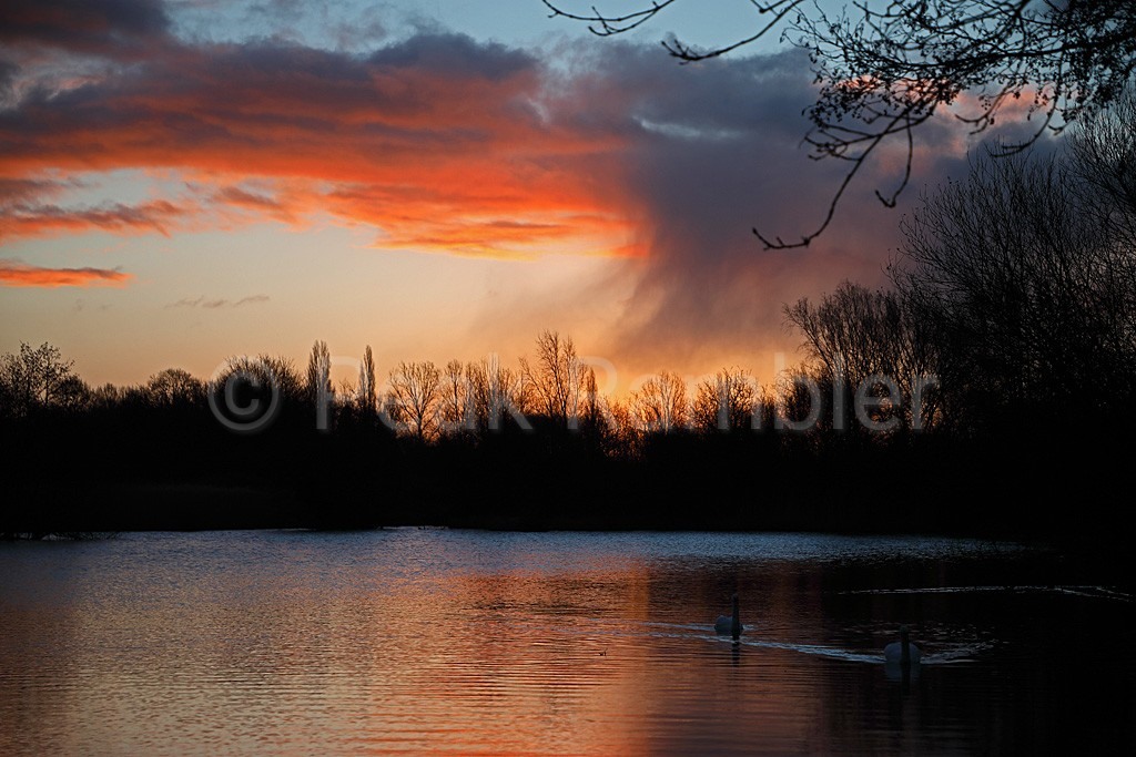 East Marsh Pool - Picture of Brandon Marsh Nature Reserve