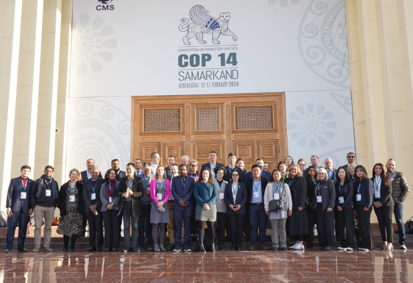 A group of delegates standing in front of a banner for the CMS COP14 in Samarkand