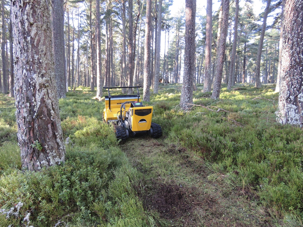 Robocutter machine amongst trees at Abernethy