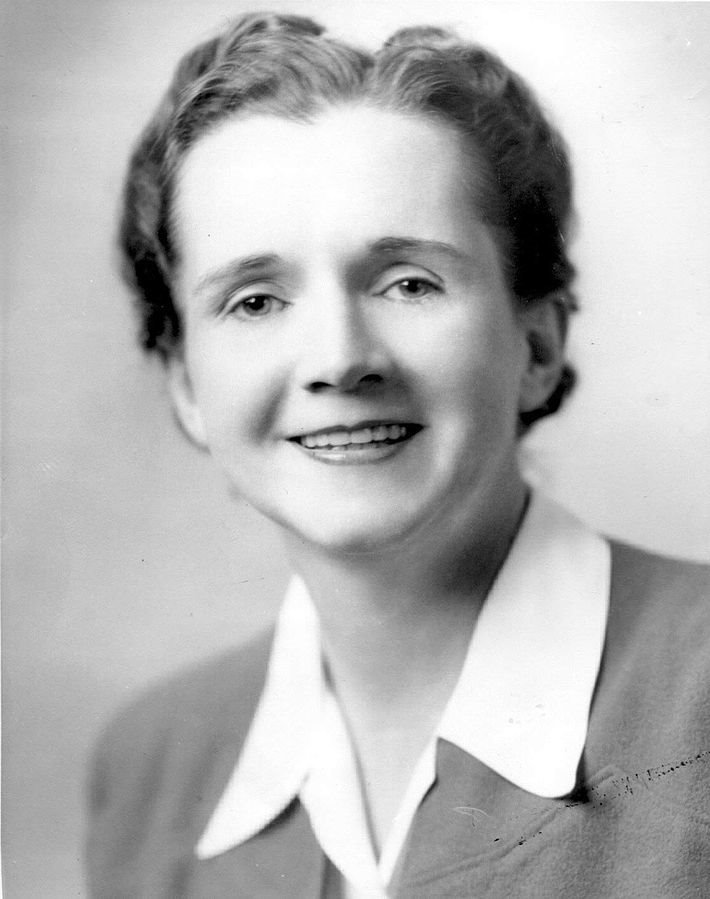 Photographic portrait of a smiling Rachel Carson. 