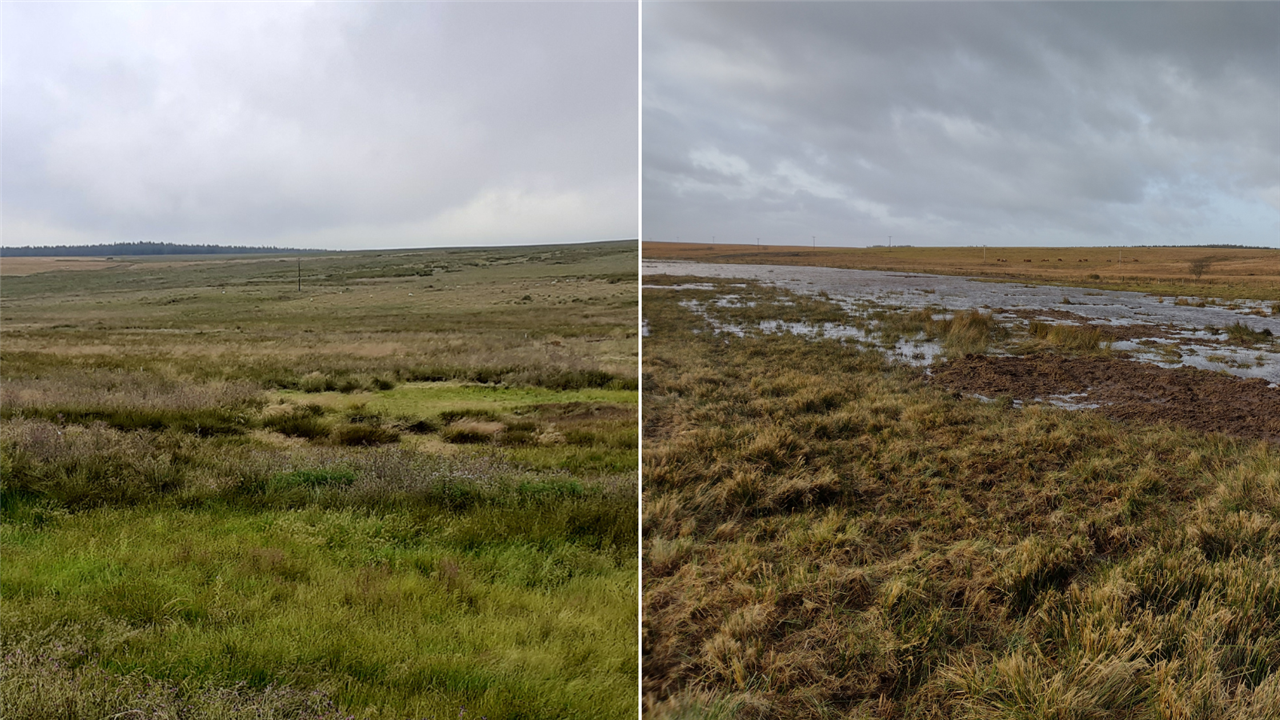 Two images side by side. On the left is a flat landscape covered in rushes and grasses. On the right is the same landscape with large pools of water.
