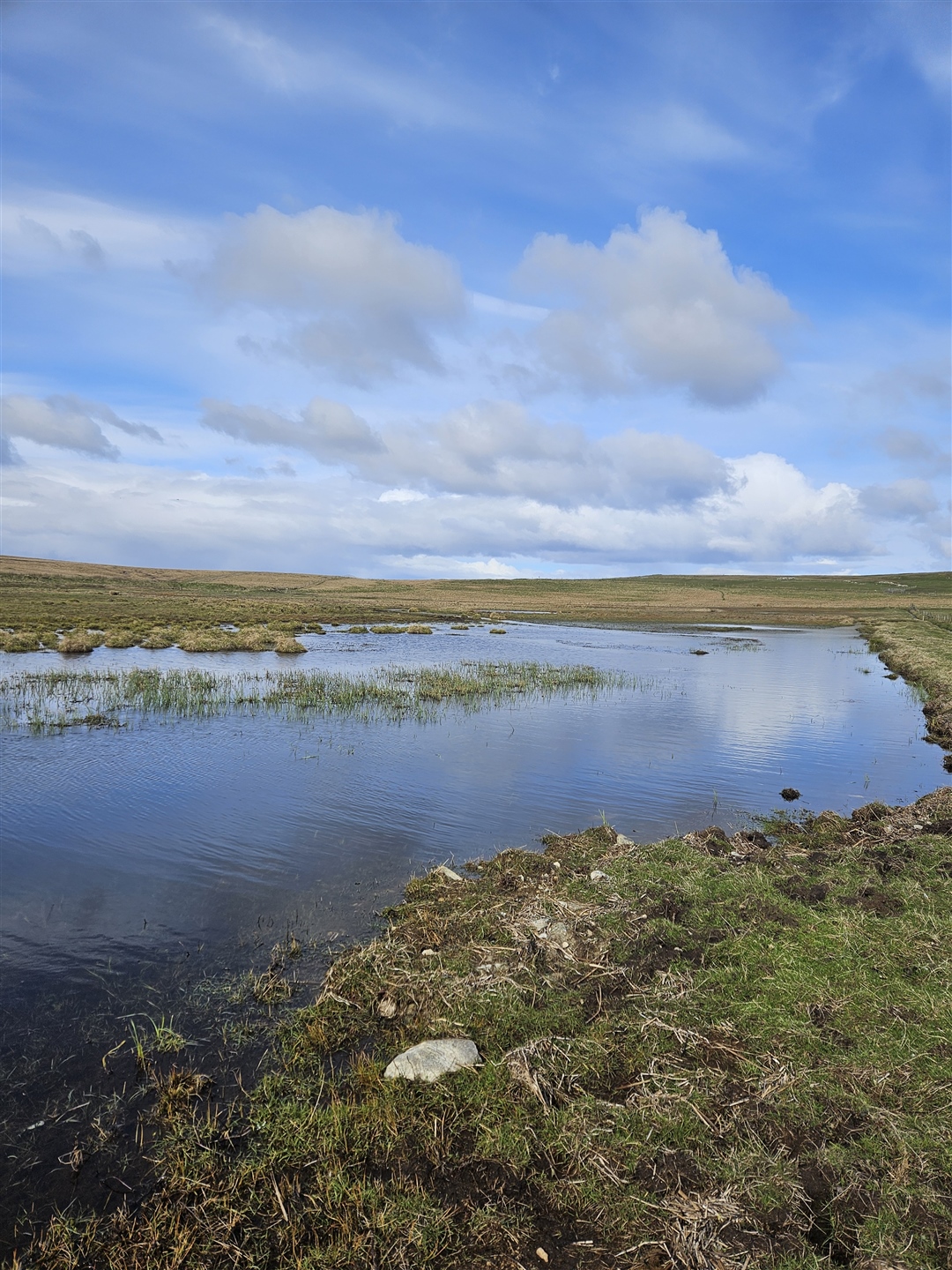 A wetland site with blue sky above. Water levels are high coming near to the top of the bank