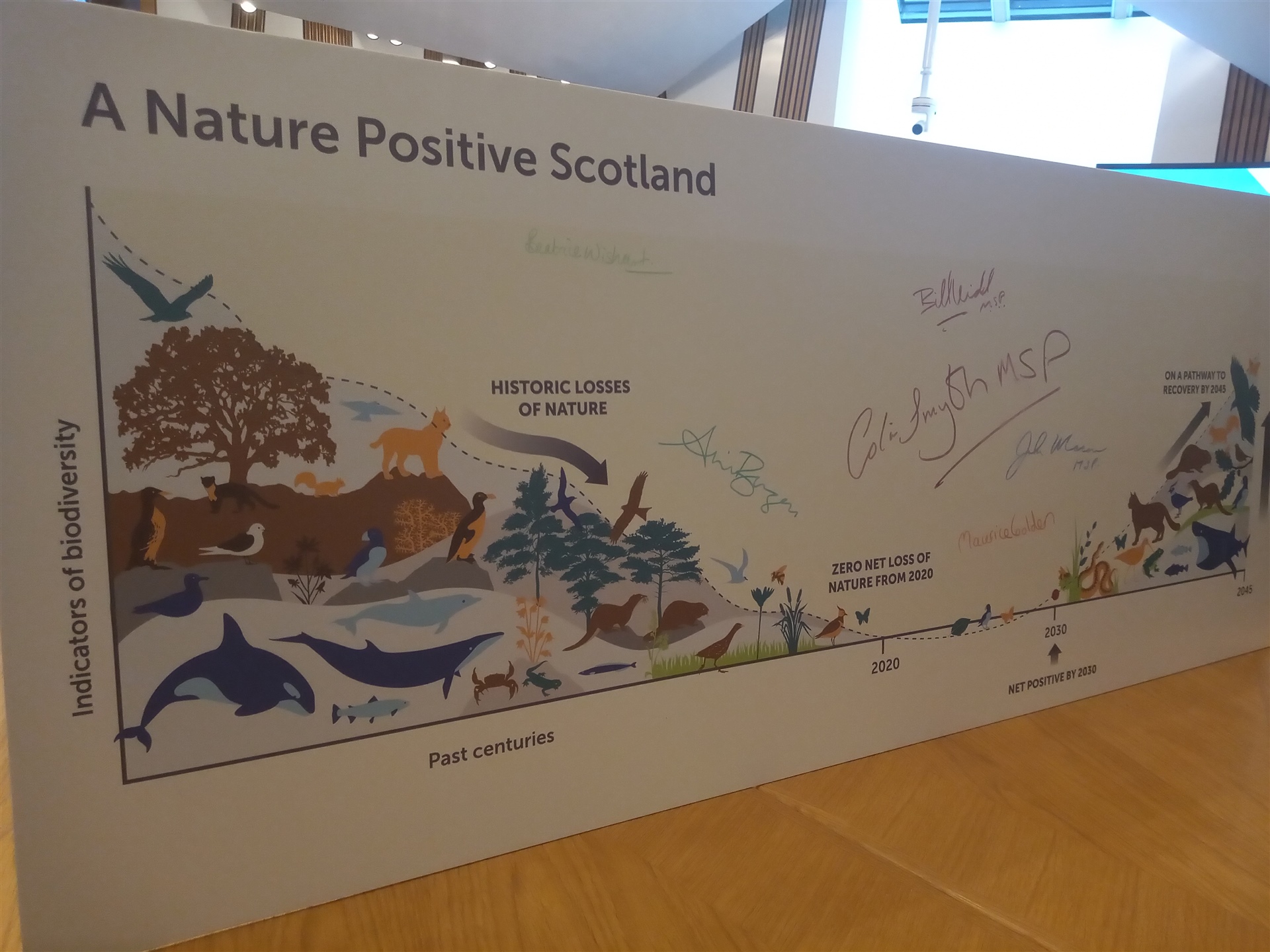  A large banner which reads, "A Nature Positive Scotland". It shows a graph of nature's decline over recent years and hoped increase in years to come.