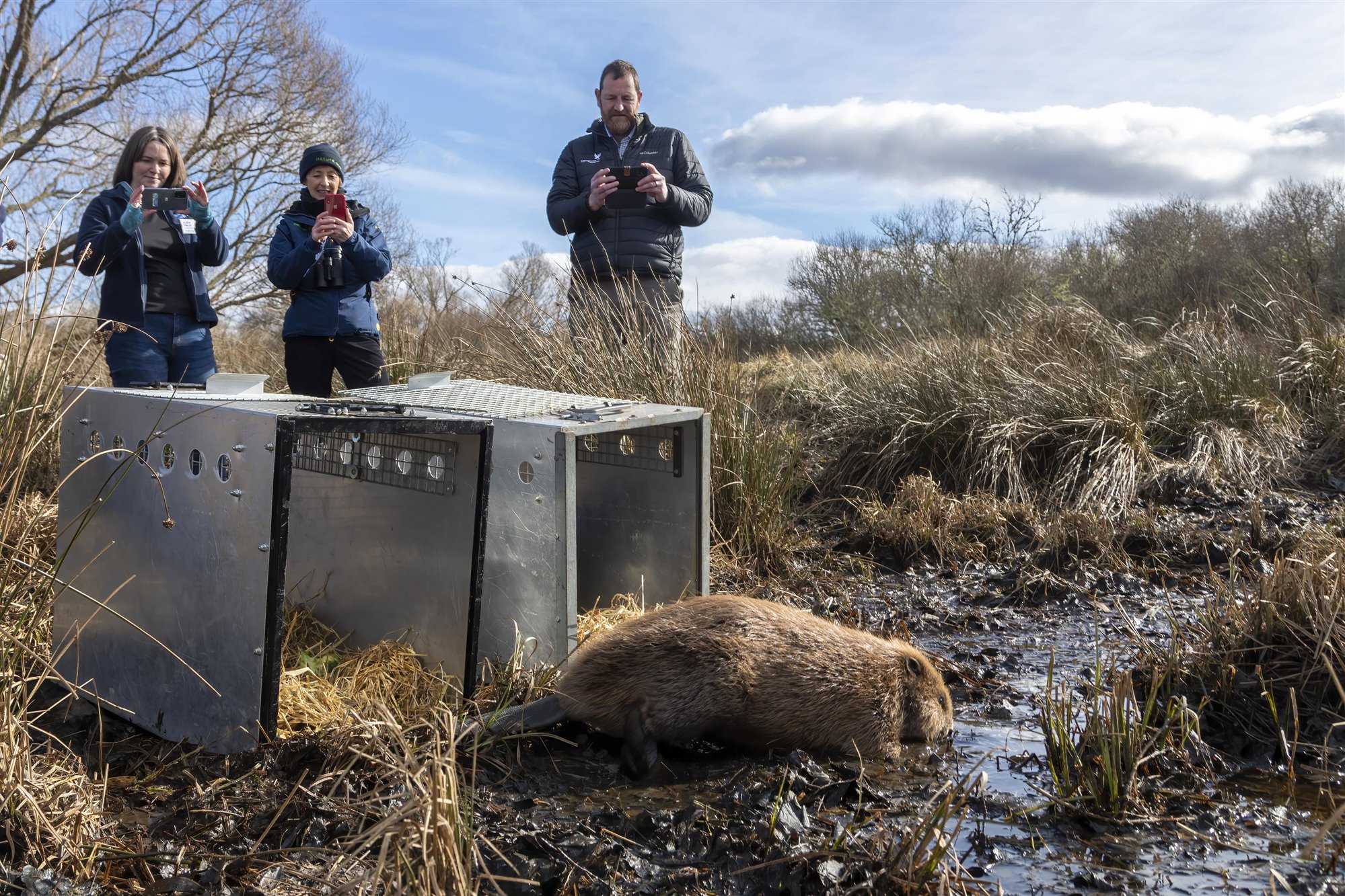 Three people watching a Beaver leaving a large metal crate heading towards water.