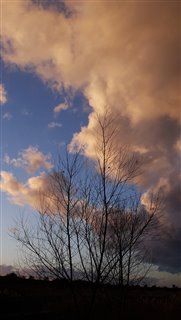 December sky by Dawn Cowan