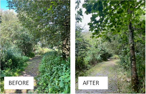 Before and after pictures of path to Meida Hide
