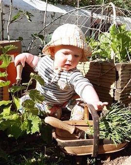 Wren holding a gardening fork, reaching for herbs in a basket