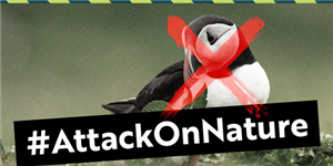 A puffin with a large red cross through it over the words 'attack on nature'