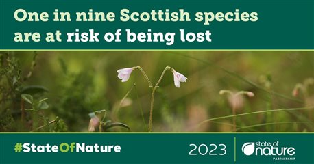 Graphic with image of a flower in grass. text says One in nine Scottish species are at risk of being lost. 