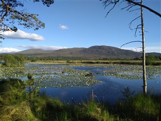 A summer view over Loch Mallachie