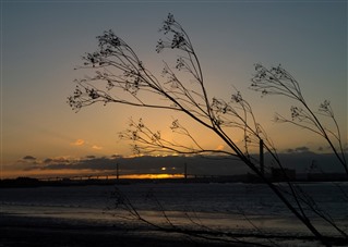Winter Sunrise at Rainham Marshes, overlooking the River Thames by Tony O'Brien