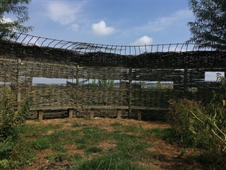 Willow screen and benches at Greylake