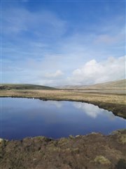 A wader scape reflects the blue of the sky