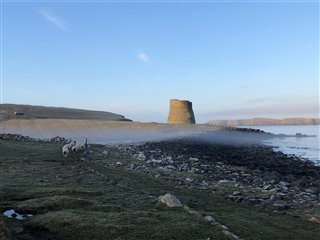Mousa broch on our early morning tystie survey