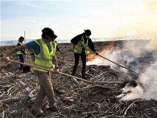 Volunteers fighting wild fire