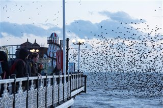 Starlings at Brighton Pier - Ben Andrew