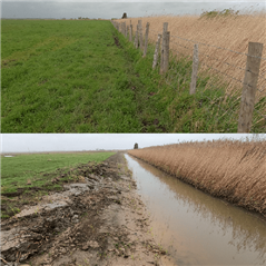 Creation of a new channel at Seasalter Levels