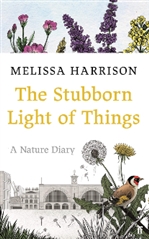 A pale book cover with wild flowers running across the top above the words "The Stubborn Light Of Things".