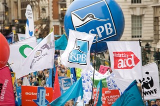 RSPB balloons and flags, along with WWF, Christian Aid, CAFOD and Friends of the Earth at The Wave climate march in 2009
