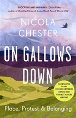 A blue and green book cover showing rolling hillsides and the sky above with the words "On Gallows Down".