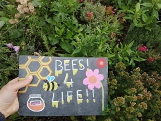 A colourfully painted slate with the words 'bees 4 life' on.