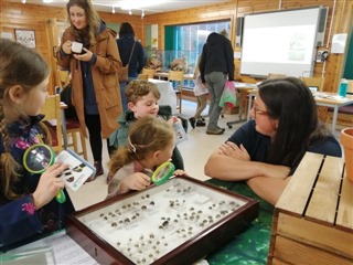 Families and children engage with displays about bees in a well-lit classroom.